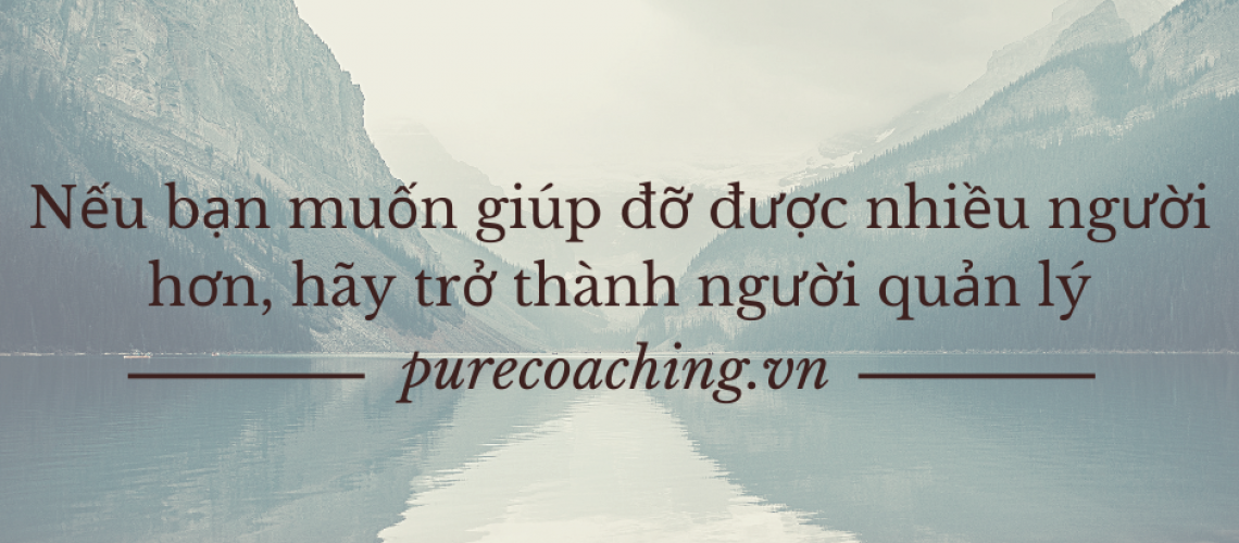 pure_coaching_training